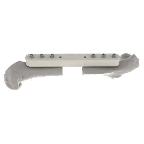 Placca ossea veterinaria per ratti - RatFix - RISystem AG - per femore / per tibia / dell'omero
