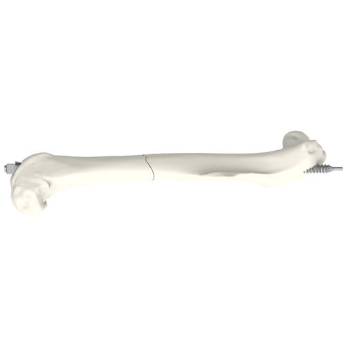 Vite ortopedica a uso veterinario compressione - MouseScrew - RISystem AG - per femore