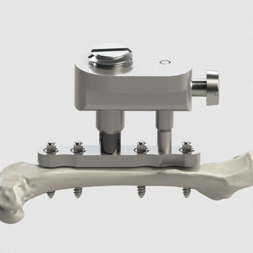 Imager - Intra-Vital - RISystem AG