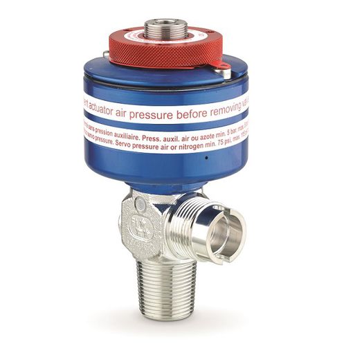 Valvola per bombola di ossigeno - D385S - ROTAREX MEDITEC - in acciaio inossidabile / grigia / ad alta pressione