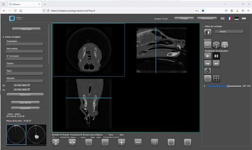 Software veterinario - IMEDpacs - Imedsys - di visualizzazione / 3D / 2D