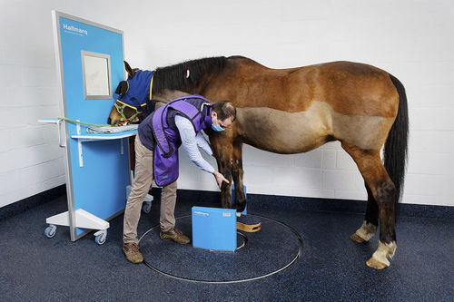 Scanner a raggi X veterinario per equini - slCT - Hallmarq Veterinary Imaging