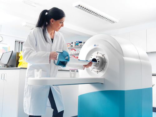 Sistema di imaging preclinico RMN - MRS*DRYMAG 3.0T - MR Solutions - per animali di piccola taglia / senza materiale criogenico
