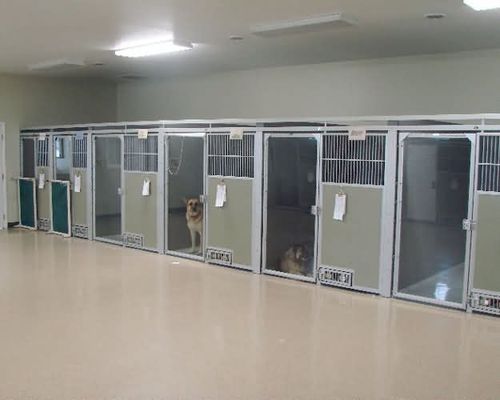 Gabbia veterinaria per cani - Snyder Manufacturing Company - modulare