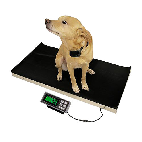 Bilancia veterinaria meccanica - 700  - DRE Veterinary - con piattaforma / con monitor separato / USB