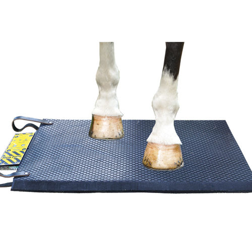 Unità di magnetoterapia per equini - Bio-Pulse Iron Foot - Respond Systems - materasso