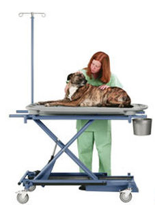 Lettino da visita veterinario - Versa-Lift - Olympic Veterinary - elettrico / ad altezza regolabile / con rotelle
