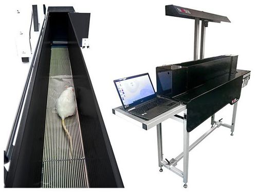 Test di distribuzione del peso cinetico - BIO-KWB-DUAL - Bioseb - per sperimentazione animale / per ratti / per roditori