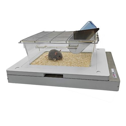 Monitor dell'attività per l’analisi del ritmo circadiano - BIO-ACTIV2-M - Bioseb - per sperimentazione animale / per ricerca preclinica / per topi