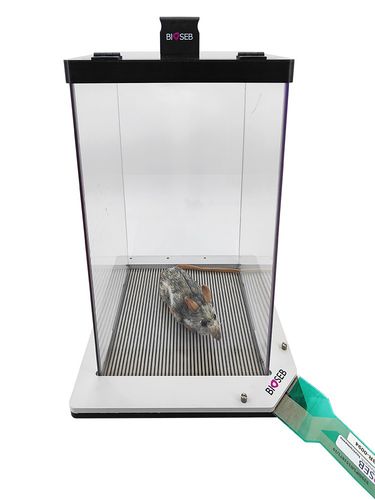 Test di distribuzione del peso dinamico - BIO-DWB-DUAL - Bioseb - per sperimentazione animale / per ricerca preclinica / per ratti