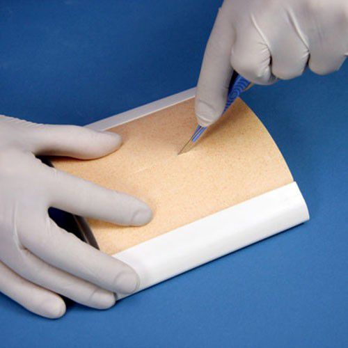 Simulatore didattico - ALT-00091 - Bioseb - per sutura / per la sutura delle piaghe / per interventi di emergenza