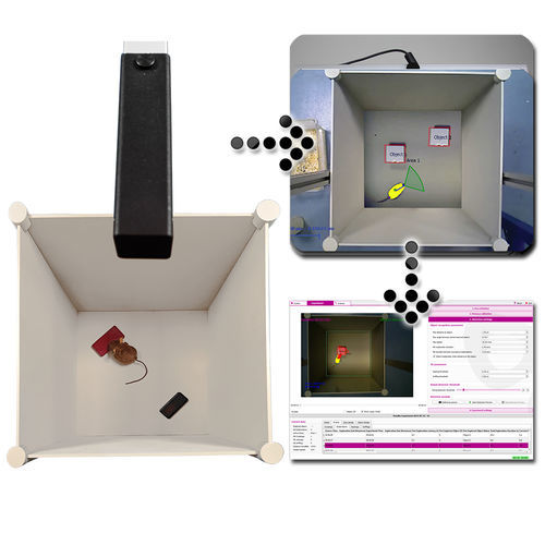 Test di riconoscimento di oggetti 3D - NORT-3D - Bioseb - per ricerca preclinica / per memoria / per sperimentazione animale
