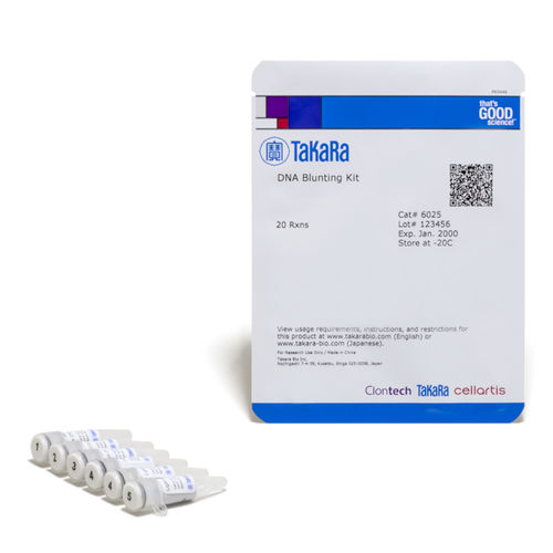 Kit di reagenti DNA polimerasi - 6025 - TAKARA - DNA ligasi / per acidi nucleici / per purificazione di DNA