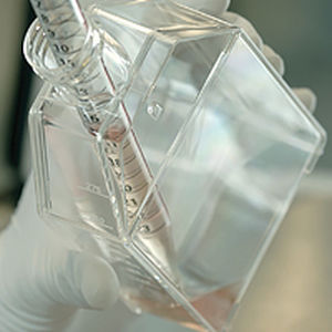 Reagente di siero - Cellartis® 3i mES/iPSC  - TAKARA - citochina / standard / per coltura cellulare