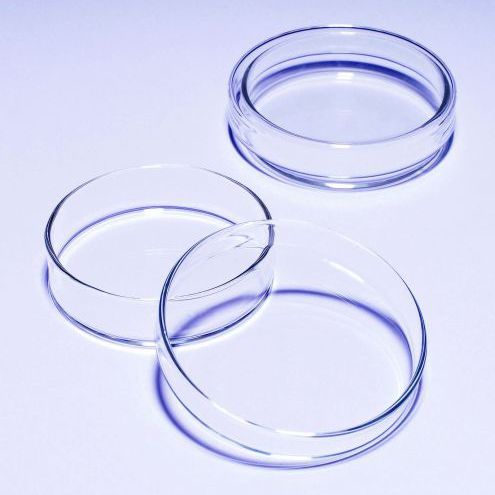 Piastra Petri in vetro borosilicato - 1480 series - SciLabware Limited
