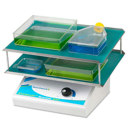 Agitatore di laboratorio basculante - Everlast™ - BENCHMARK SCIENTIFIC - digitale / da banco / multiplo