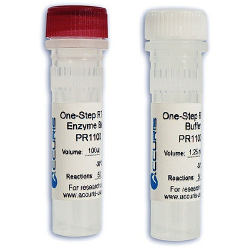 Reagente transcrittasi inversa - PR1100 series - BENCHMARK SCIENTIFIC - per RT-PCR / per sintesi di ADN complementare / con avviamento a caldo