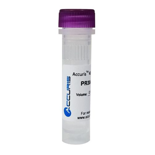 Reagente soluzione di dNTP - PR3 series - BENCHMARK SCIENTIFIC - proteasi / per PCR