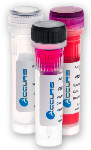 Kit di reagenti in soluzione - PR2001 series - BENCHMARK SCIENTIFIC - per qPCR / con avviamento a caldo