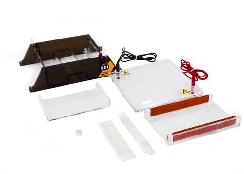 Sistema di elettroforesi per PCR - DOUBLE WIDE MINI GEL-O - IBI Scientific - da banco / compatto
