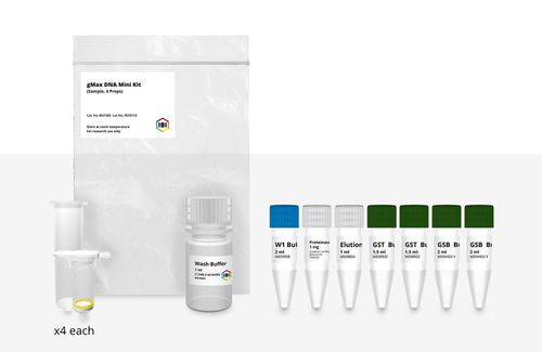 Kit di reagenti proteinasi K - GMAX MINI - IBI Scientific - di campioni di sangue / per istologia / per PCR