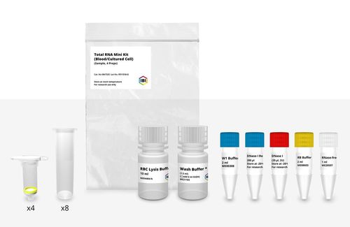 Kit di reagenti per RT-PCR - IB47320 - IBI Scientific - di campioni di sangue / per acidi nucleici / per elettroforesi