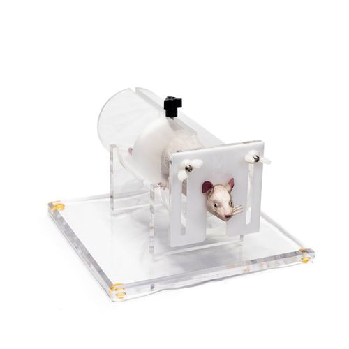 Dispositivo di contenzione per sperimentazione animale - RR-300 - IBI Scientific