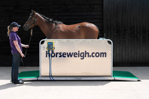 Bilancia veterinaria elettronica - Olympic - Horse Weigh - per cavalli / con piattaforma / con schermo amovibile