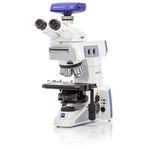 microscopio digitale