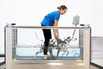 tapis roulant veterinario per idroterapia