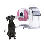 tomografia veterinaria cone beam (CBCT) per animali domestici