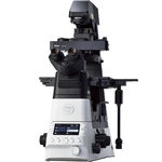 microscopio ottico