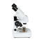 stereomicroscopio ottico44137Celestron