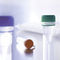reagente per laboratorio veterinariovirotype Influenza A Positive ControlINDICAL BIOSCIENCE GmbH