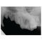 sistema di radiografia veterinaria digitaleSignalSMILE&reg;SignalPET
