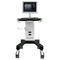 ecografo portatile con carrelloDW-750Dawei Medical