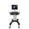 ecografo portatile con carrelloDW-750Dawei Medical