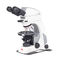 microscopio polarizzatorePanthera TEC POL Motic Europe