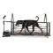 tapis roulant veterinario per caniOrtho ProDOG RUNNER