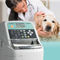 analizzatore immunologico automaticoAU10VFUJIFILM Healthcare