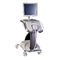 dispositivo di screening del cancro cervicaleLuViva&reg;Guided Therapeutics