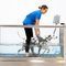 tapis roulant veterinario per idroterapiaHydro PhysioHydro Physio