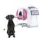 tomografia veterinaria cone beam (CBCT) per animali domesticiPlanmed Verity&reg; VETPlanmeca