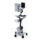 sistema di imaging endoscopico EUSAVVIGO&trade;+Boston Scientific