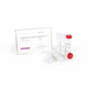 kit di reagenti inibitore di Rnase / per Rt-qPCR / per sintesi di ADN complementare / di proteine