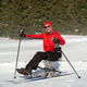 dualski attivo / per adulto / telaio in alluminio