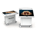 tavolo anatomico per la formazione / Anatomia 3D / formazione anatomica / formazione clinica