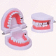 modello anatomico di bocca / di denti / odontoiatrico / odontoiatrico
