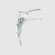speculum vaginale / monouso