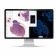 sistema di imaging cellulare automatico / da laboratorio / diagnostico / per tessuti
